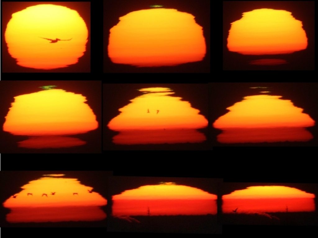 Mock mirage sunset sequence . Notice the stepped-shape the sun takes. Image Credit: Wikimedia Commons.