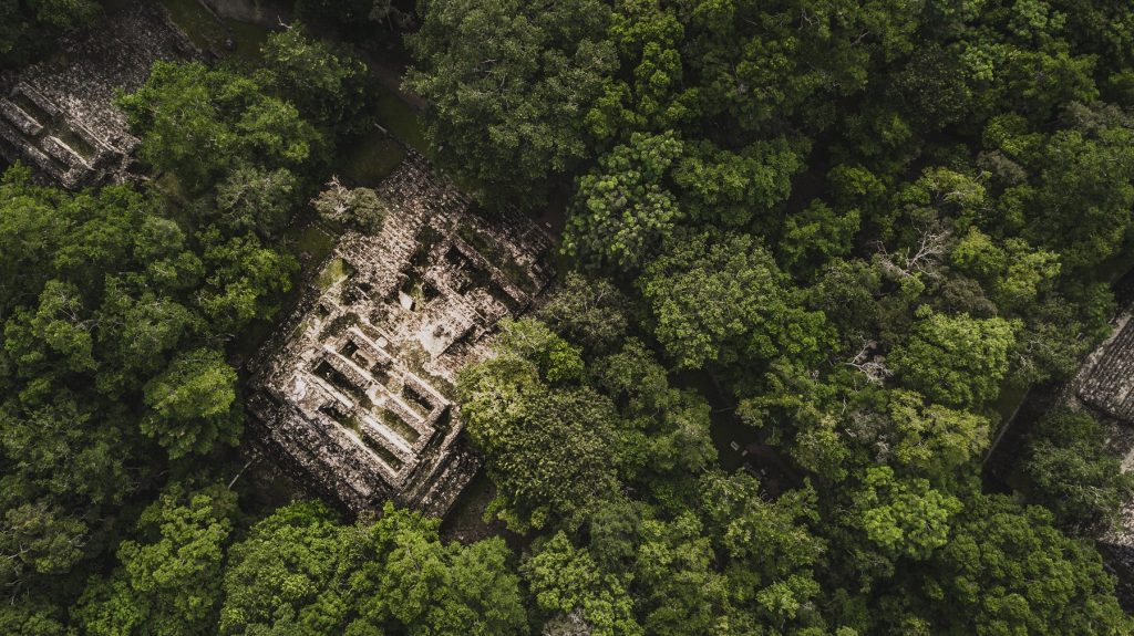 An aerial view showing some of the monuments of the ancient city of Calakmul. Shutterstock.