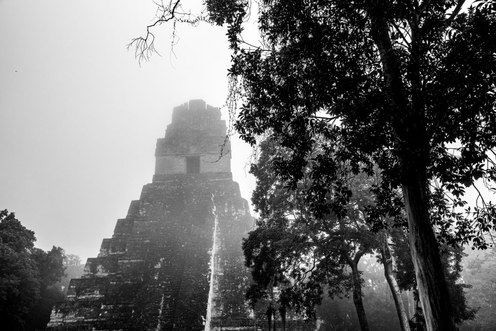 An image of Temple I at Tikal seen through the fog, this is Tikal's most famous pyramid despite the fact that it isn't its largest.. Shutterstock.