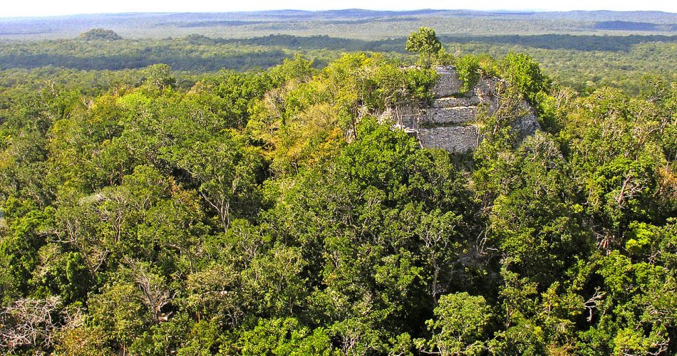 The Pyramid of La Danta at the ancient city of El Mirador. Image Credit: Dennis Jarvis / Wikimedia Commons / CC BY-SA 2.0.