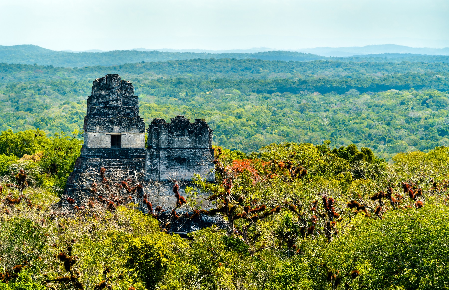 The Ancient Pyramids Of Tikal: Wonders Of The Maya - Pyramidomania 9CC