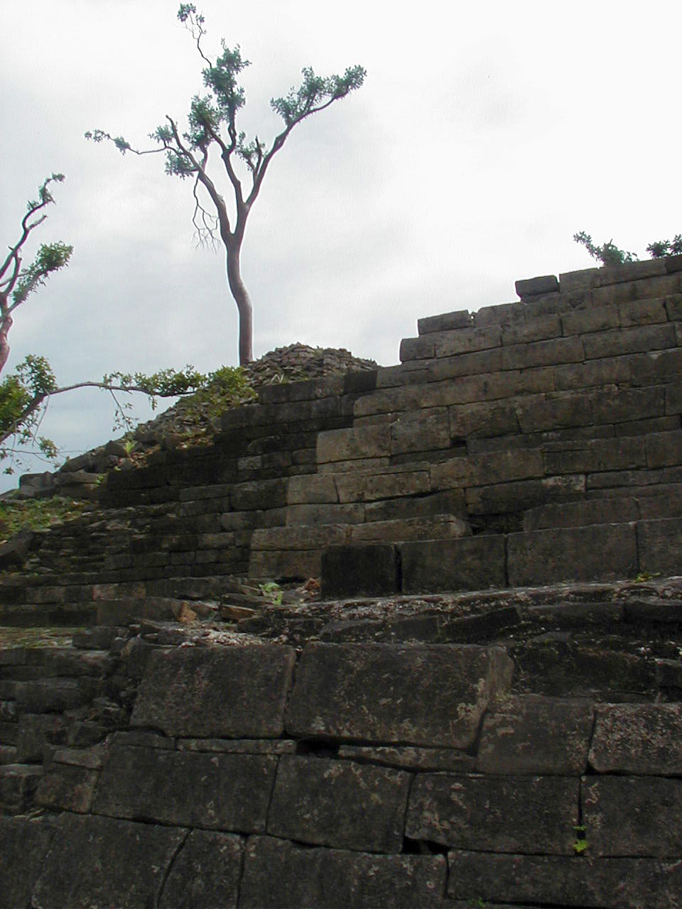 Stepped structure, Lubaantun Archeological Reserve, Belize. Photo by Gerry Manacsa, February 2002.