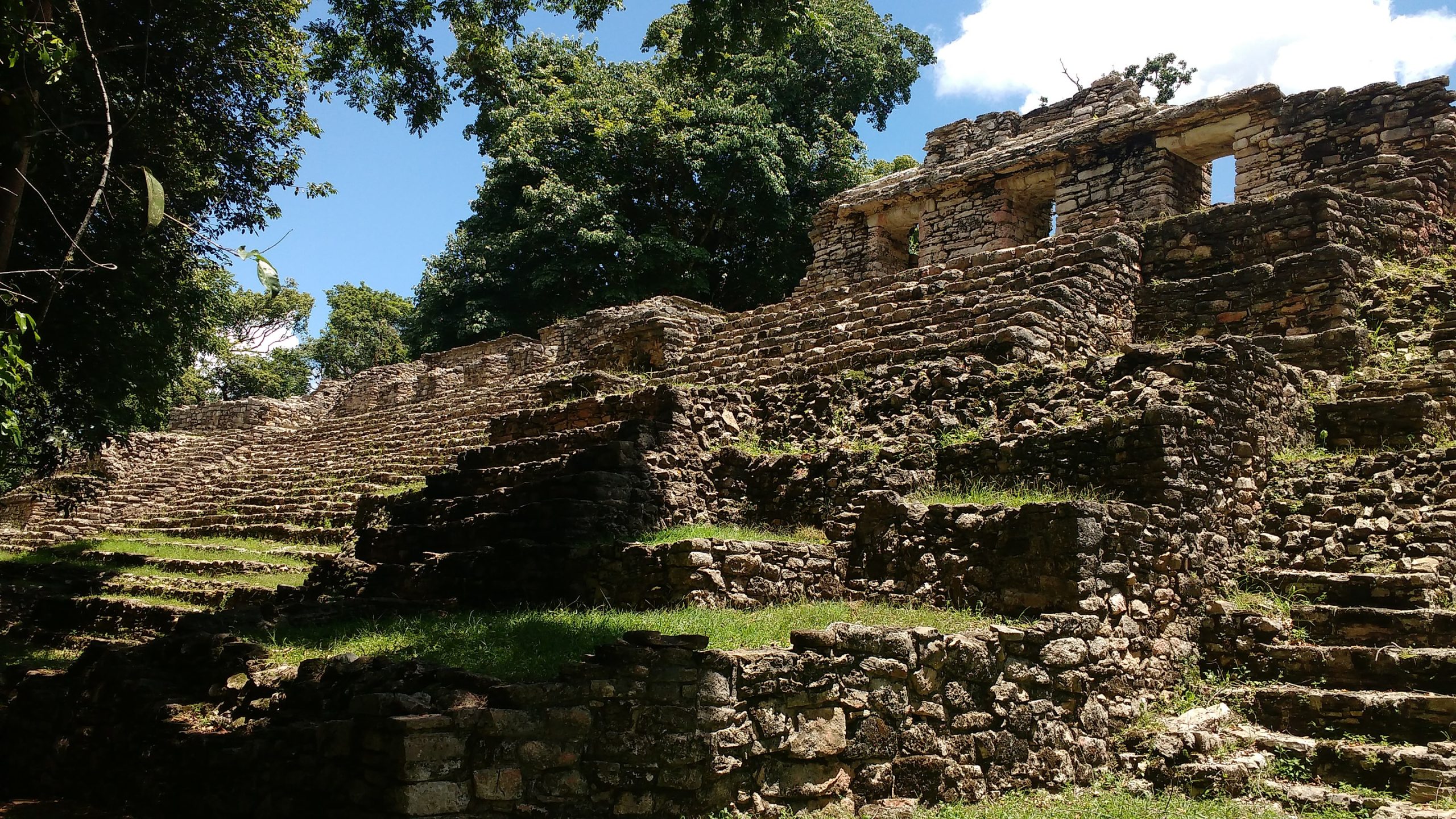 Photo taken in the Archaeological Zone of Yaxchilan, in the municipality of Ocosingo, Chiapas, Mexico. Credit: Wikimedia Commons.